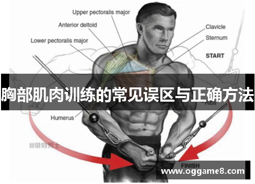 胸部肌肉训练的常见误区与正确方法